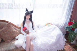 老旦是一棵树
